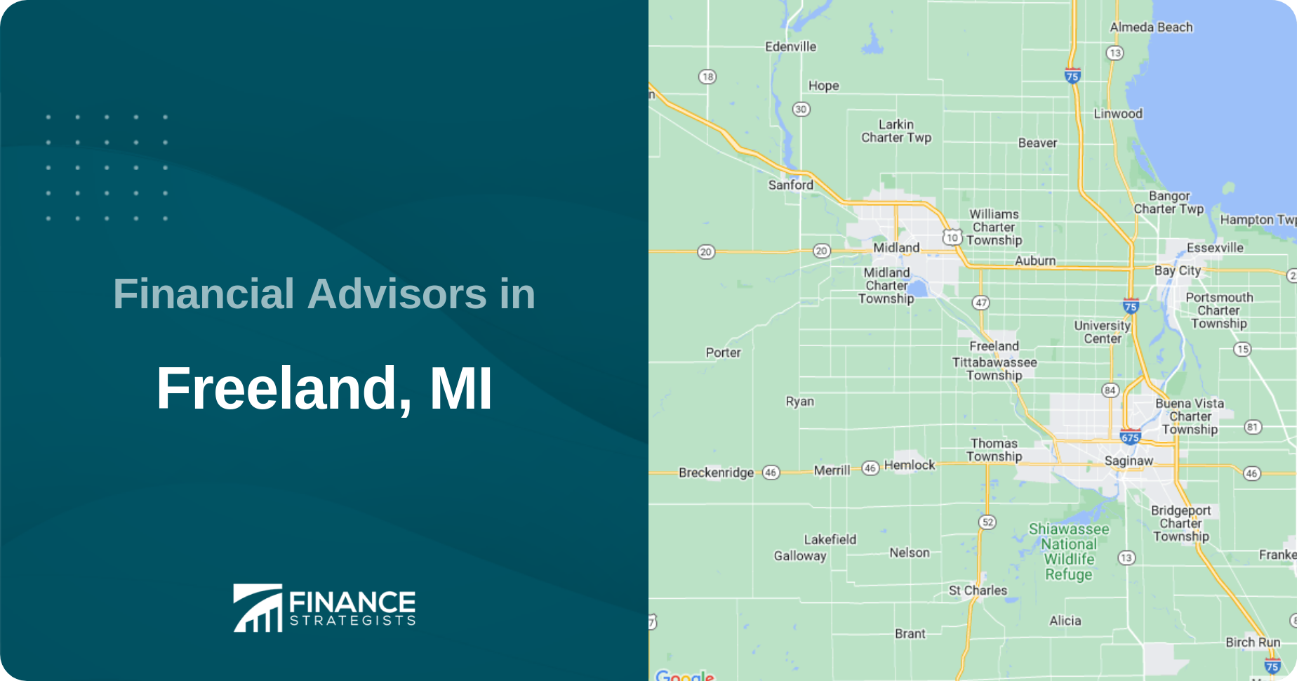 Financial Advisors in Freeland, MI