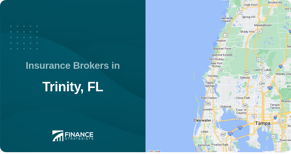 Insurance Brokers in Trinity, FL