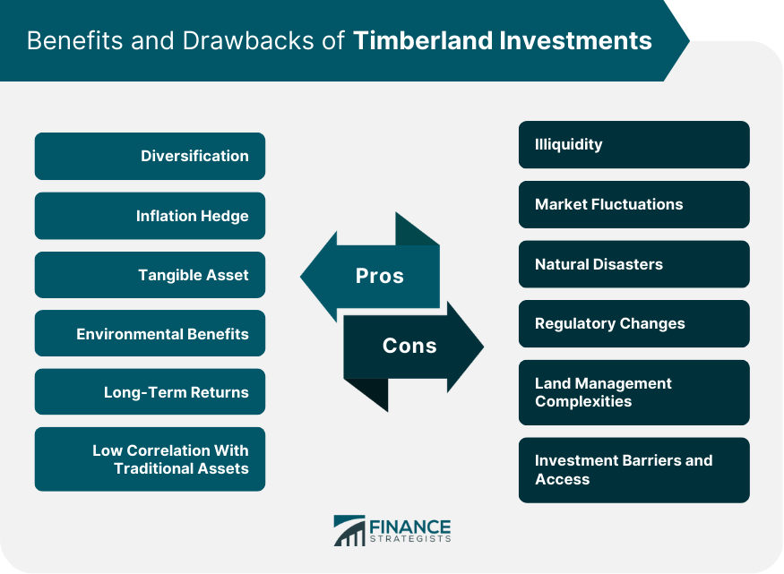 Benefits and Drawbacks of Timberland Investments