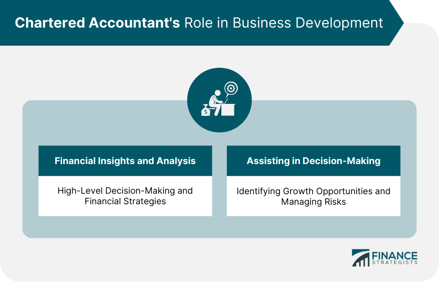Chartered Accountant's Role in Business Development
