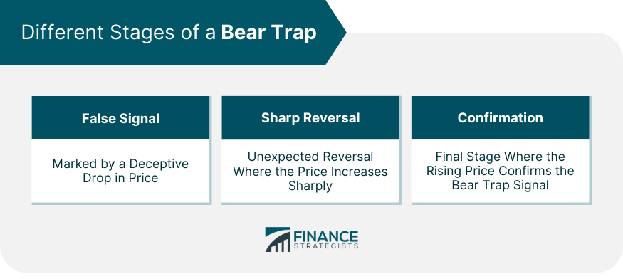 Different Stages of a Bear Trap