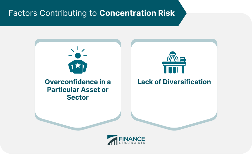 Factors_Contributing_to_Concentration_Risk