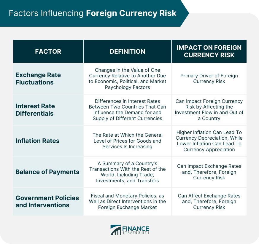 Factors Influencing Foreign Currency Risk