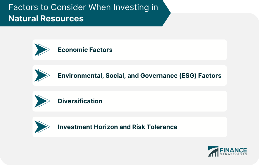 Factors to Consider When Investing in Natural Resources