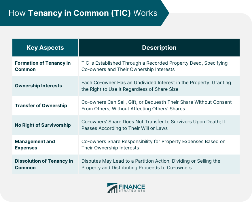 How Tenancy in Common (TIC) Works