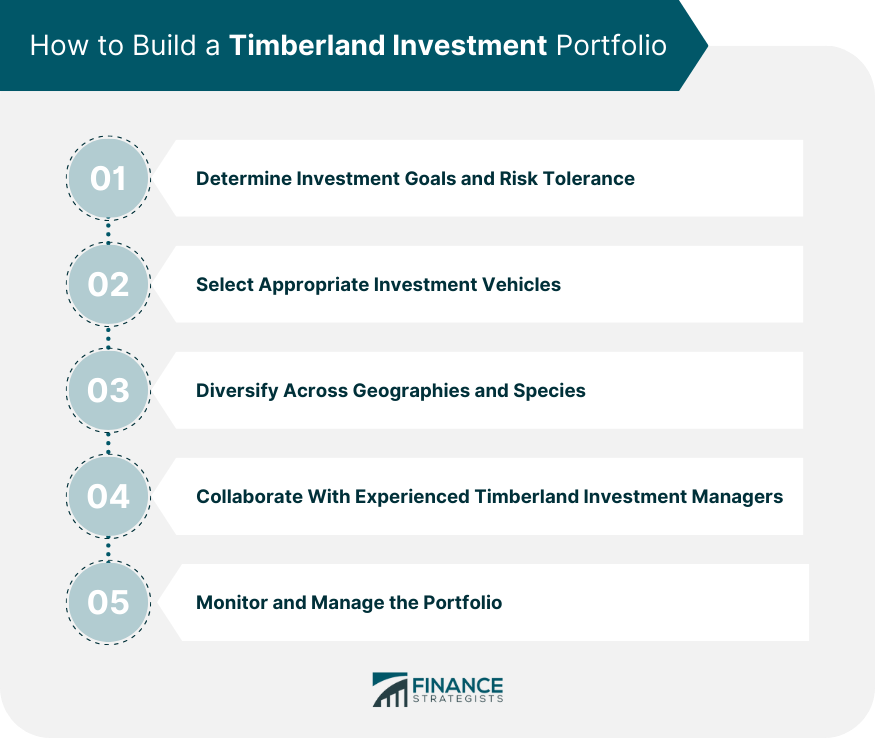 How to Build a Timberland Investment Portfolio