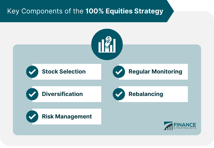 Key Components of the 100% Equities Strategy