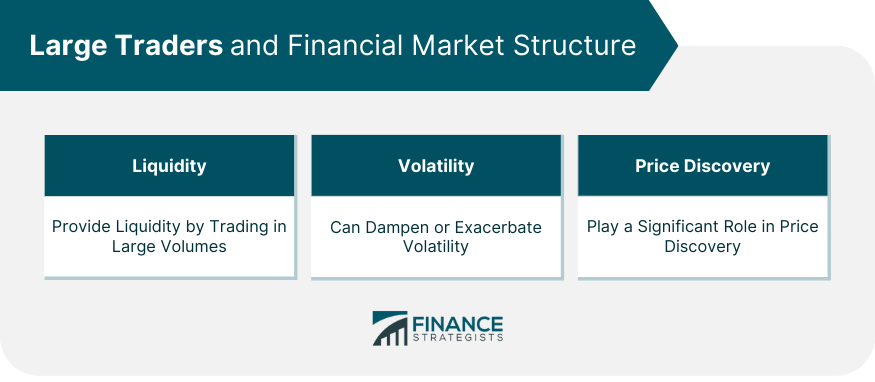 Large Traders and Financial Market Structure