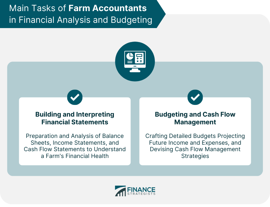 Main Tasks of Farm Accountants in Financial Analysis and Budgeting