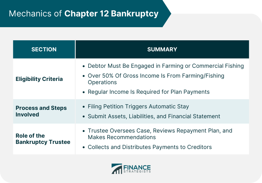 Mechanics of Chapter 12 Bankruptcy