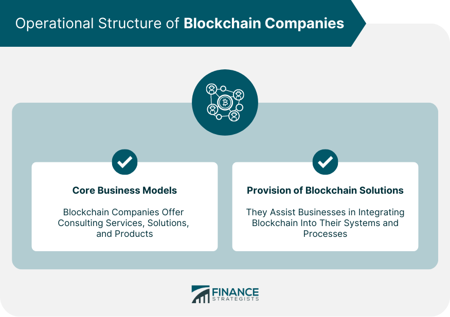Operational Structure of Blockchain Companies