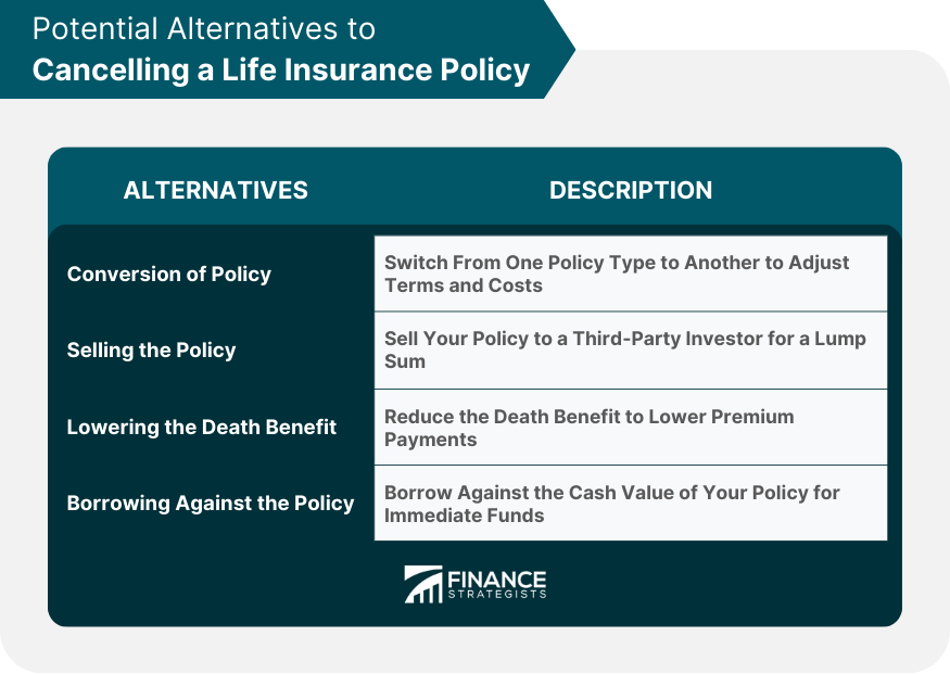 Potential Alternatives to Cancelling a Life Insurance Policy