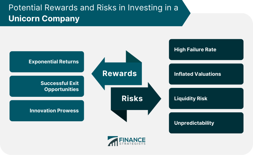 Potential Rewards and Risks in Investing in a Unicorn Company
