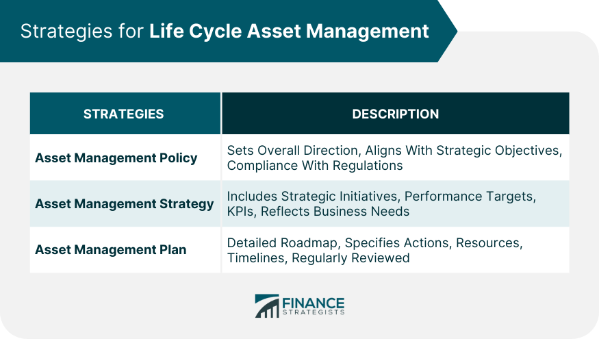 Strategies for Life Cycle Asset Management