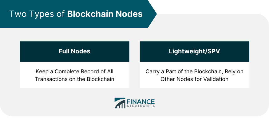 Two Types of Blockchain Nodes