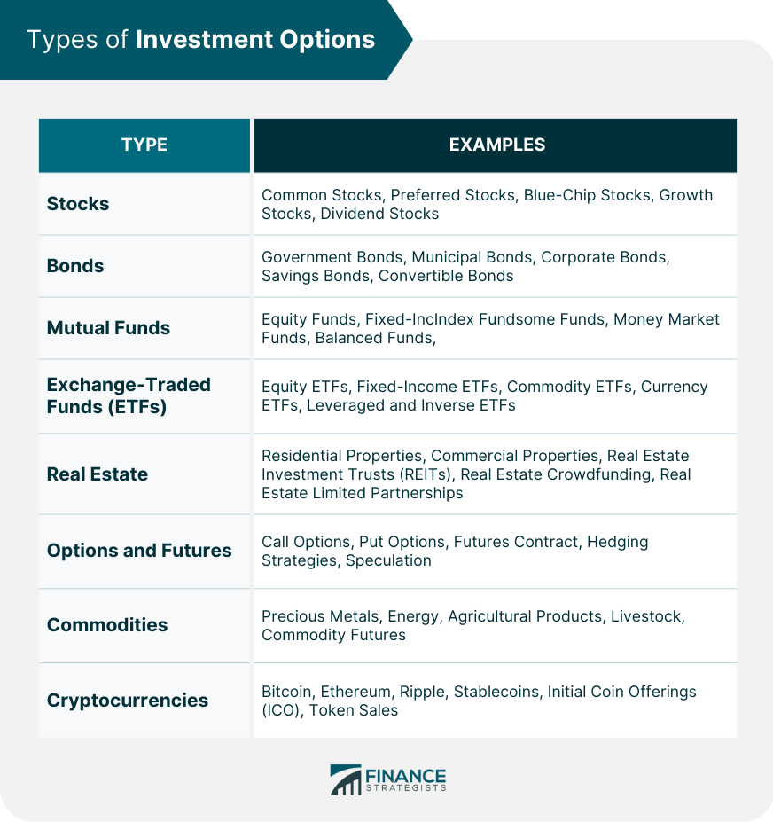 Types of Investment Options