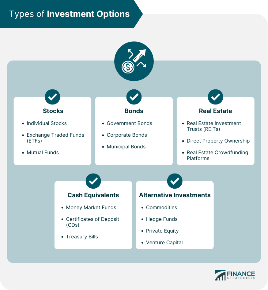 Types of Investment Options