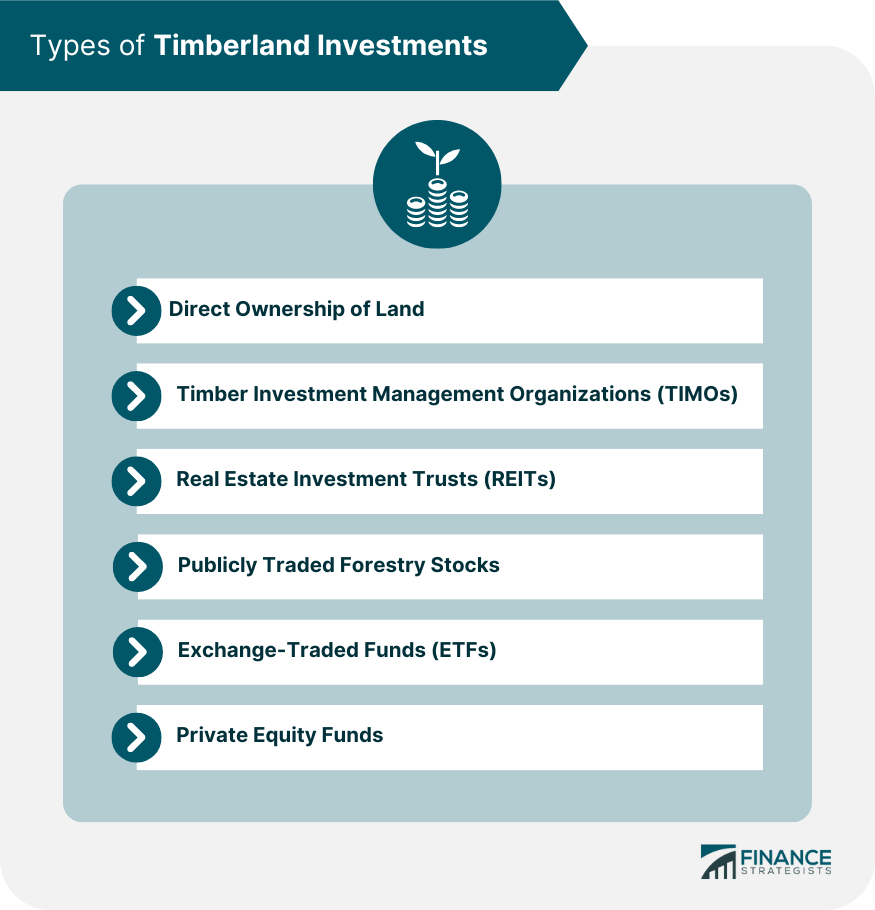 Types of Timberland Investments