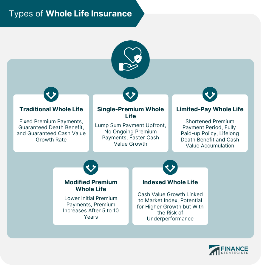 Types of Whole Life Insurance