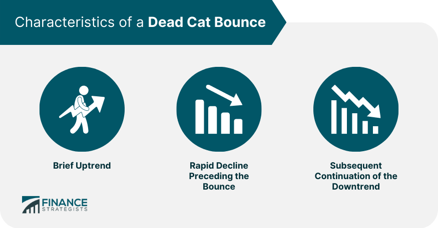 Characteristics of a Dead Cat Bounce