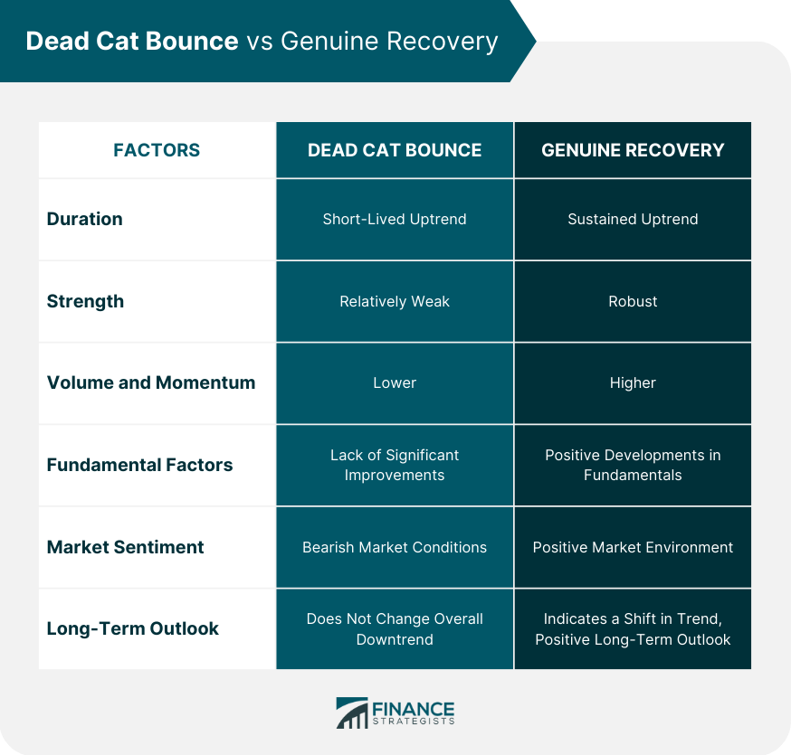 Dead Cat Bounce vs Genuine Recovery
