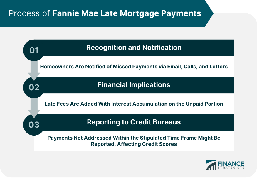Process of Fannie Mae Late Mortgage Payments