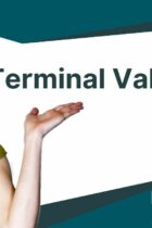 Terminal Value (TV) Definition and How to Find The Value (With
